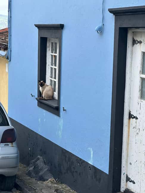 Ponta Delgada: Sete Cidades and Fenais da Luz Guided Trip - Scenic Viewpoints over Lagoa das Sete Cidades