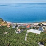 Ponta Do Sol : Madeira Banana Museum guided tour - Discover the Greenhouses and Banana Plantations Outside
