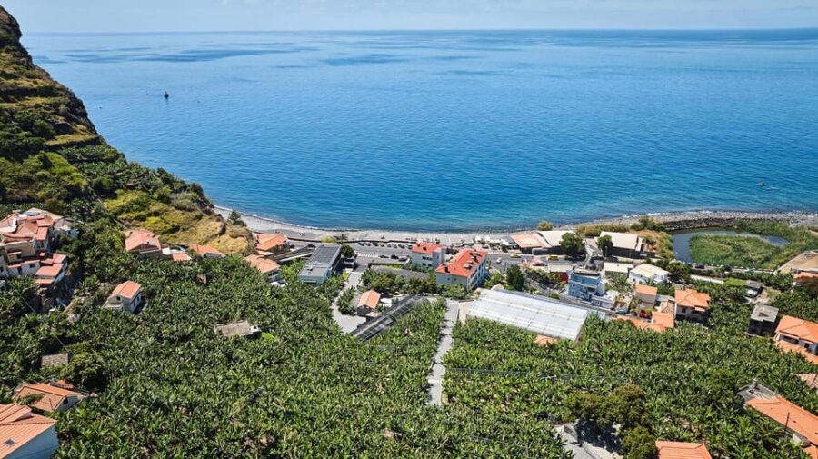 Ponta Do Sol : Madeira Banana Museum guided tour - Discover the Greenhouses and Banana Plantations Outside