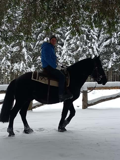 Pontedilegno-Temù: Val d'Avio Horseback Ride with Guide - The One-Hour Ride Through Val dAvio’s Natural Beauty