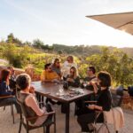 Porches: Algarve Vineyard Tour and Wine Tasting Experience - Insight into Algarve Winemaking Traditions