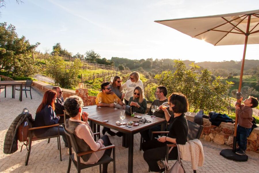 Porches: Algarve Vineyard Tour and Wine Tasting Experience - Insight into Algarve Winemaking Traditions