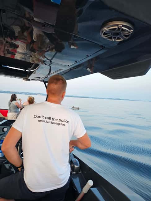 Pore Private Sunset Dolphin Cruise on Yacht - Spotting Dolphins in Their Natural Habitat