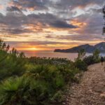 Port Andratx: Hiking Tour into the sunset to Sant Elm - Starting Point at Port Andratx with Scenic Views