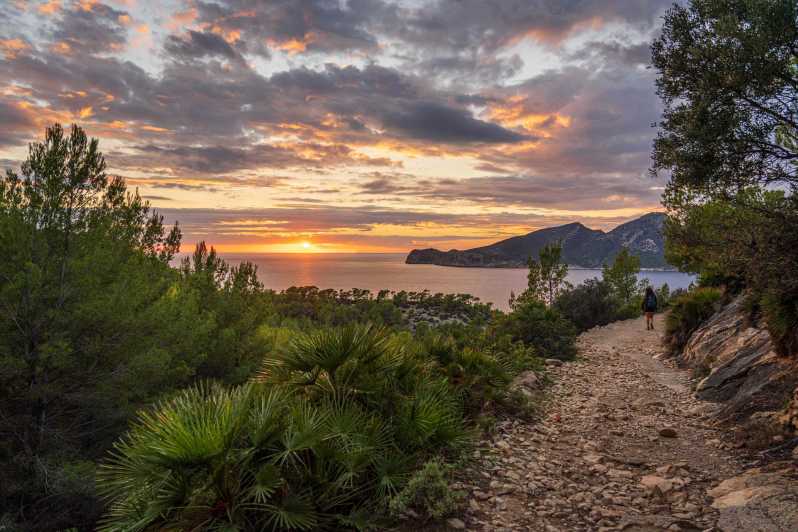 Port Andratx: Hiking Tour into the sunset to Sant Elm - Starting Point at Port Andratx with Scenic Views