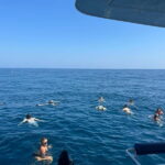 Portimão: Benagil Caves & Golden Coast Eco Catamaran Tour - Luxurious, Eco-Conscious Design of the Catamaran