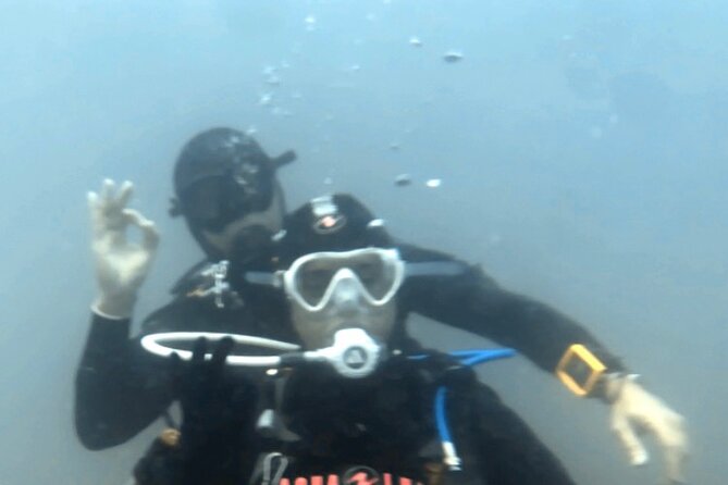 Portimão: Wreck Diving in the Ocean Revival Park - Meeting Point and Start Time Details