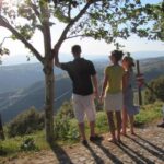 Porto: 3 Douro Valley Vineyards Tour with Lunch - Meeting Point and Transport Logistics in Porto