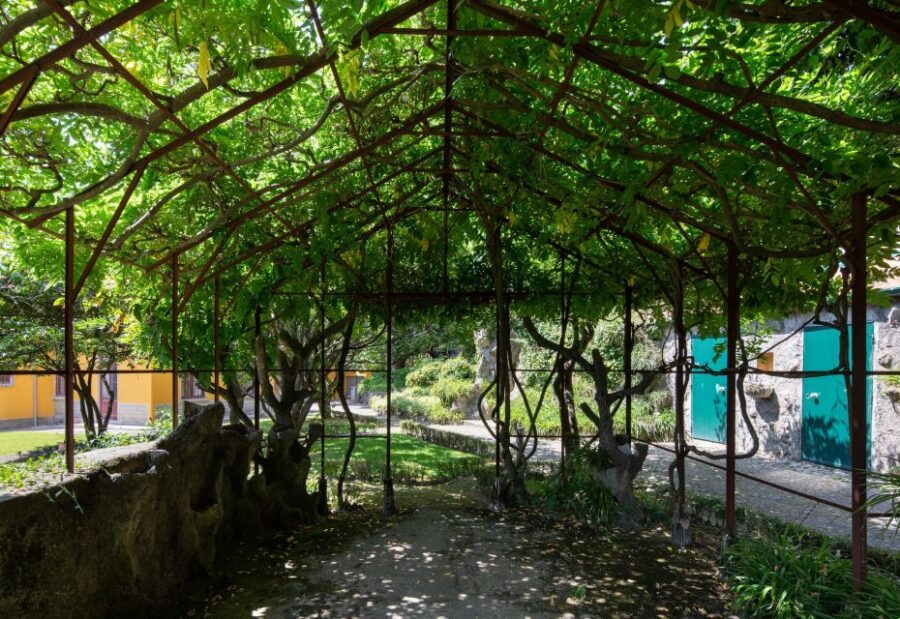 Porto: Casa São Roque Direct Entry Ticket - Casa São Roque: A Blend of Architecture and Art