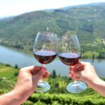 Porto City Full-Day Tour with Wine Tasting - Visiting Porto’s UNESCO World Heritage Historic Center