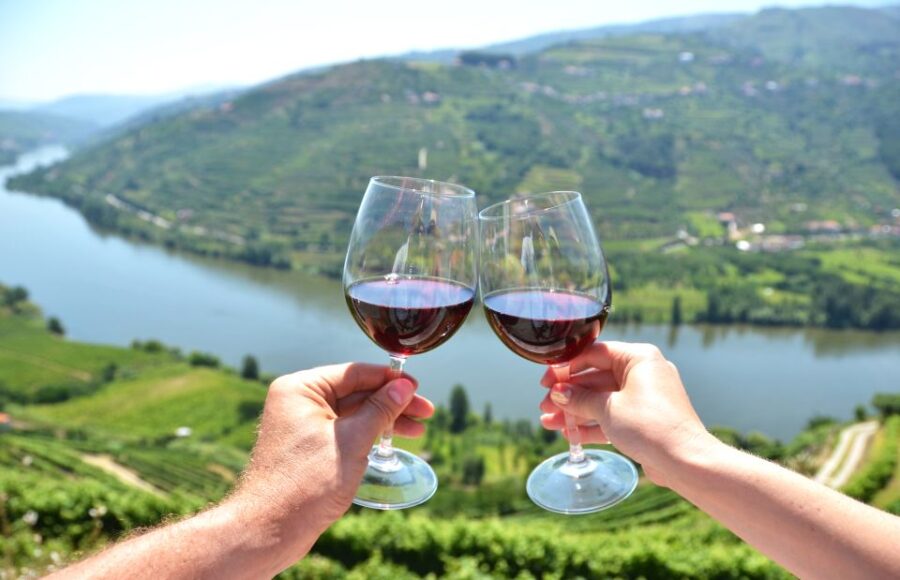 Porto City Full-Day Tour with Wine Tasting - Visiting Porto’s UNESCO World Heritage Historic Center