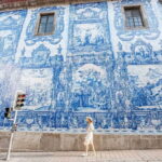 Porto City Tour: Private day tour with tickets included. - Carefully Curated Itinerary Showcases Porto’s Heritage and Modern Charm