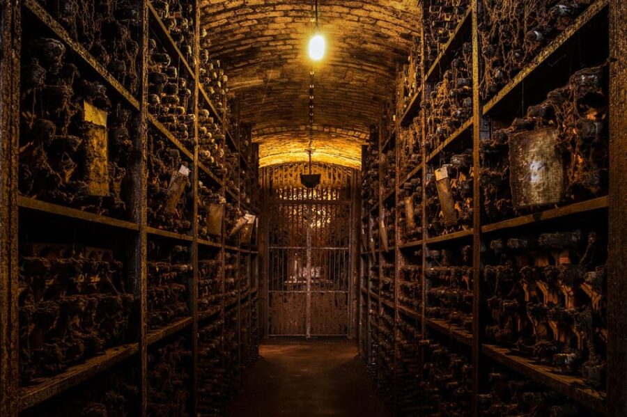 Porto: Classic Tour at Real Companhia Velha - A Closer Look at the Real Companhia Velha Cellars