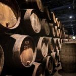 Porto: Cruise, Port Wine Cellars, Fado, and Dinner - Discovering the Douro River and Its Bridges