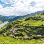 Porto: Dão Wineries Tour with Wine Tasting, Lunch and Cheese - Starting Point and Transportation Logistics