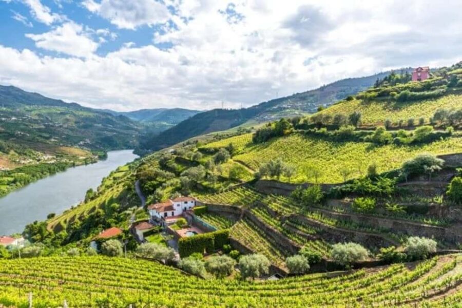 Porto: Dão Wineries Tour with Wine Tasting, Lunch and Cheese - Starting Point and Transportation Logistics