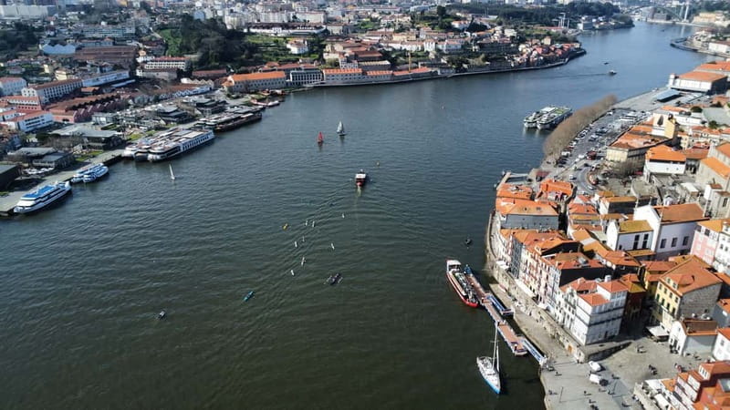 Porto: Douro River Kayak or Standup Paddleboard Tour - Starting Point at Marina do Freixo for Easy Access
