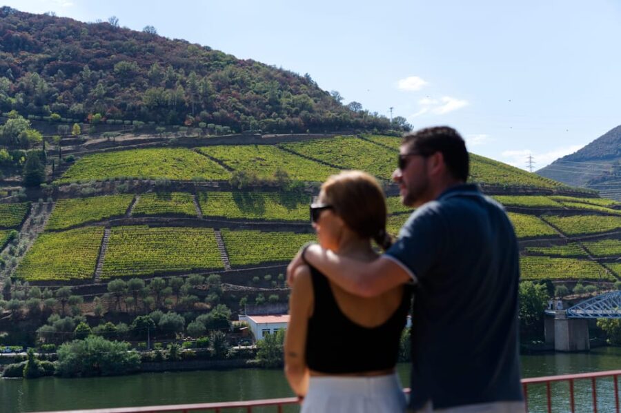 Porto: Douro Valley & Amarante Wine, Food & River Tour - Visit to a Traditional Douro Quinta with Port Wine Tastings