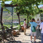 Porto: DOURO VALLEY Half-day Tour - Starting Point and Transportation in Porto