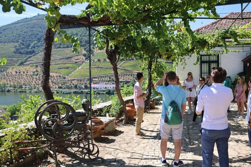Porto: DOURO VALLEY Half-day Tour - Starting Point and Transportation in Porto