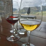 Porto: Douro Valley Half-Day Wine and Food Tour - Educational Wine Tasting and Local Products