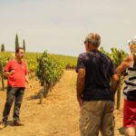 Porto: Douro Valley History & Wine Tour with Cruise & Lunch - Departure Point and Group Size