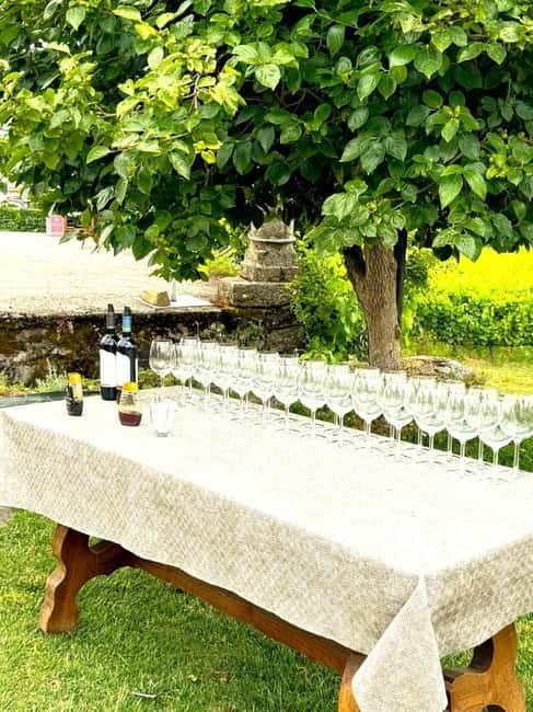 Porto: Douro Valley Tour with 3 Wineries and Lunch - Scenic Journey from Porto to Douro Valley