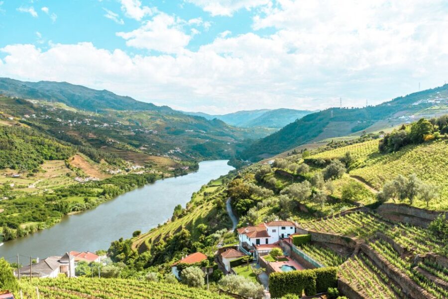 Porto: Douro Valley Tour with Wine Tasting, Cruise and Lunch - Exploring Peso da Régua and the Douro Valley