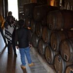 Porto: Douro Valley Vineyards Tour with Lunch & River Cruise - Visiting Two Authentic Family-Owned Vineyards