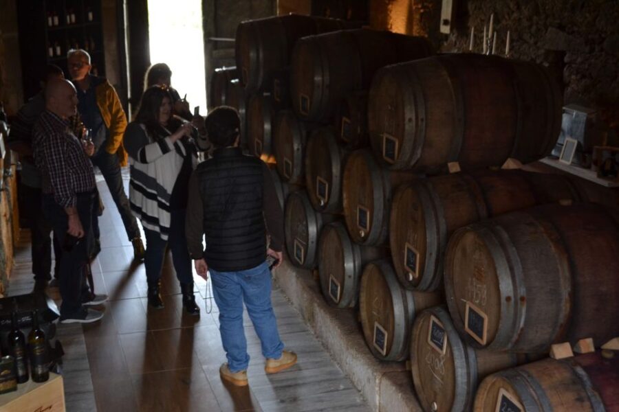 Porto: Douro Valley Vineyards Tour with Lunch & River Cruise - Visiting Two Authentic Family-Owned Vineyards