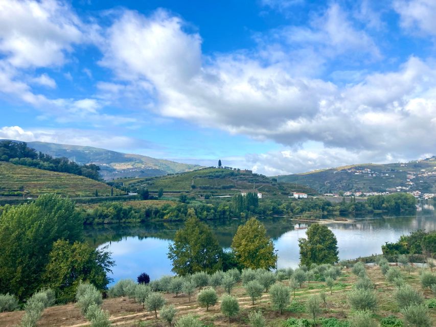 Porto: Douro Valley Wine Tour with Tastings, Boat, and Lunch - Visiting a Renowned Port Wine Producer