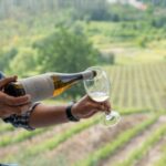 Porto: Green Wine Tasting and visit - Scenic Drive to Quinta das Arcas from Porto