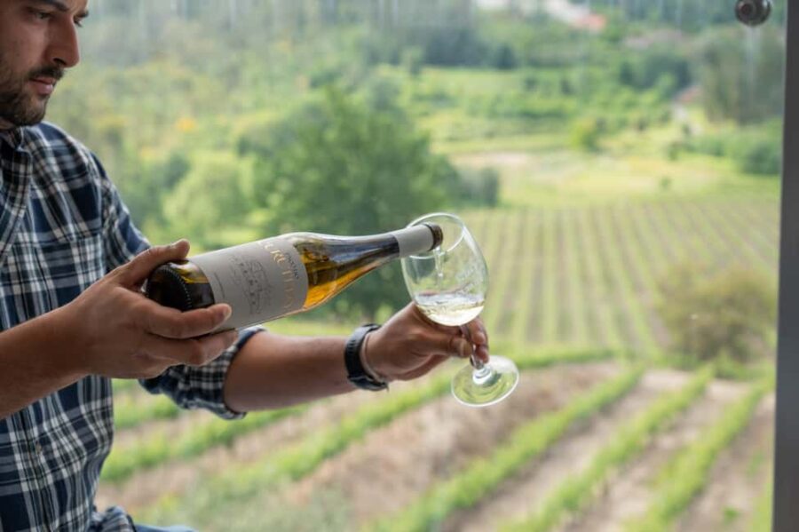 Porto: Green Wine Tasting and visit - Scenic Drive to Quinta das Arcas from Porto