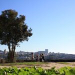 Porto: Half-Day Jewish Tour - Walking Through Largo do Terreiro: Key Historical Landmarks