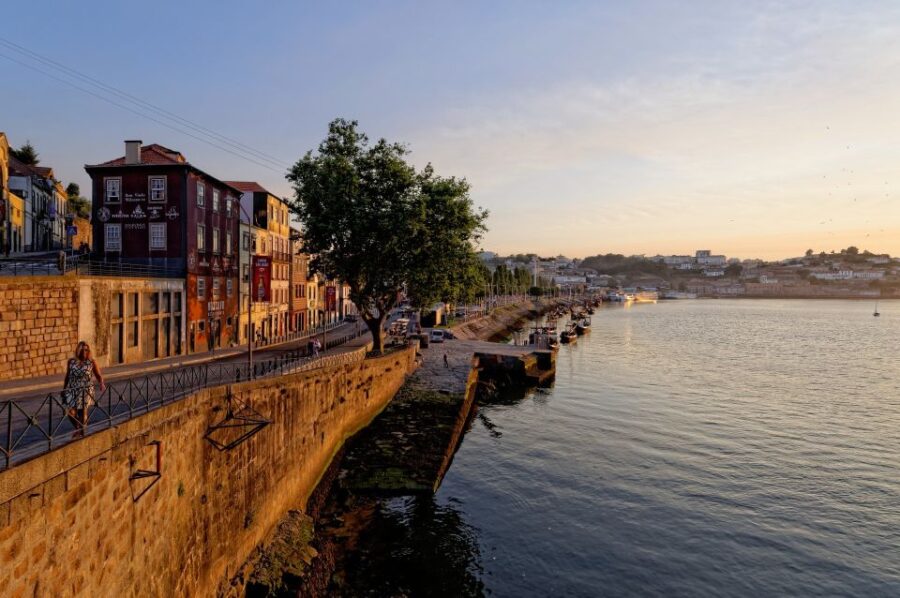 Porto Half Day Walking Tour: River Cruise & Wine Tasting - Starting at the Lion’s Fountain in Praça de Gomes Teixeira