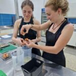 Porto: Pastel de Nata or Azulejo Painting Workshop - The Location and Setting of the Workshop