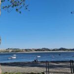 Porto: Private City Tour w/ Seafood Lunch and Coastal Views - Practical Details: Pickup, Languages, and Booking