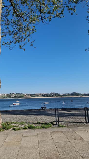 Porto: Private City Tour w/ Seafood Lunch and Coastal Views - Practical Details: Pickup, Languages, and Booking