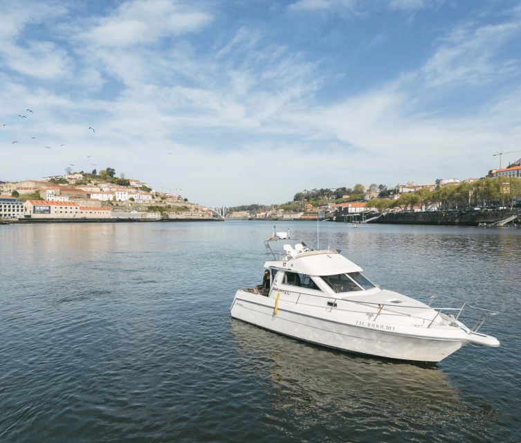 Porto: Private Douro River Sunset Cruise - Departing from R. da Praia 430 for a Scenic Douro River Start