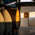 Porto: Private Green Wine Tour: Visit 2 Wine Estates & Lunch - Exploring Valenças Fortress and Historic City