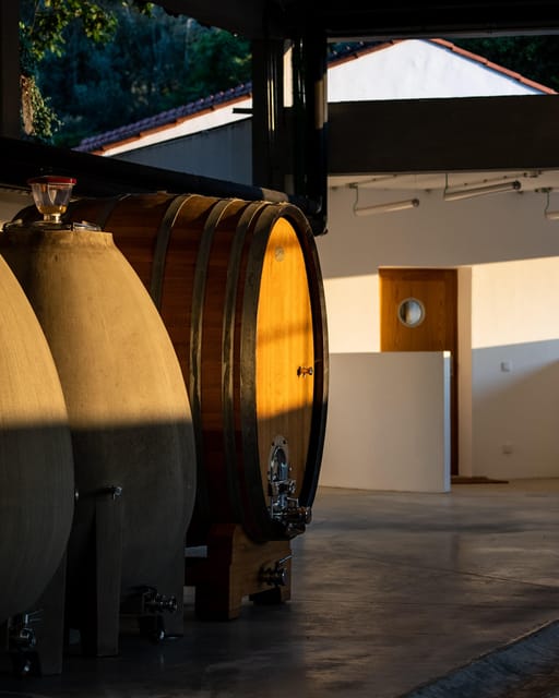 Porto: Private Green Wine Tour: Visit 2 Wine Estates & Lunch - Exploring Valenças Fortress and Historic City