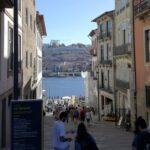 Porto Private Tour from Lisbon - Flexibility and Pacing of the Tour