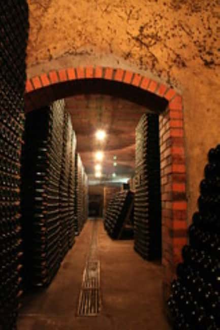 Porto: Private tour in Bairrada - From wine to suckling pig with tradition. - The Start: Convenient Pickups from Porto or Matosinhos