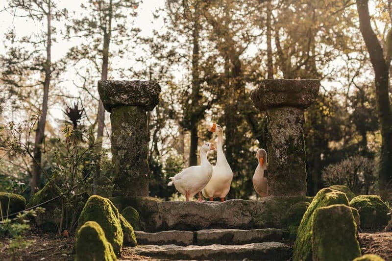 Porto: Qta da Aveleda Enchanted Gardens & Green Wine - Discovering the Quinta da Aveleda Estate