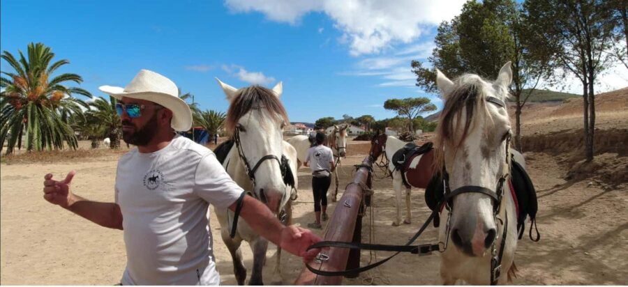 Porto Santo Island: Horse Riding - Exploring Porto Santo’s Scenic Routes on Horseback
