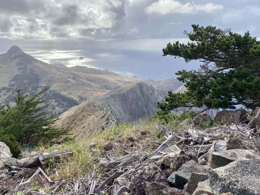 Porto Santo: Pico Branco and Terra Cha Guided Mountain Hike - Discover Porto Santo’s Unique Mountain Environment