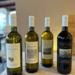 Porto Santo Stefano: Wine Tasting with Sea View - What Makes This Tour Stand Out from Other Wine Experiences