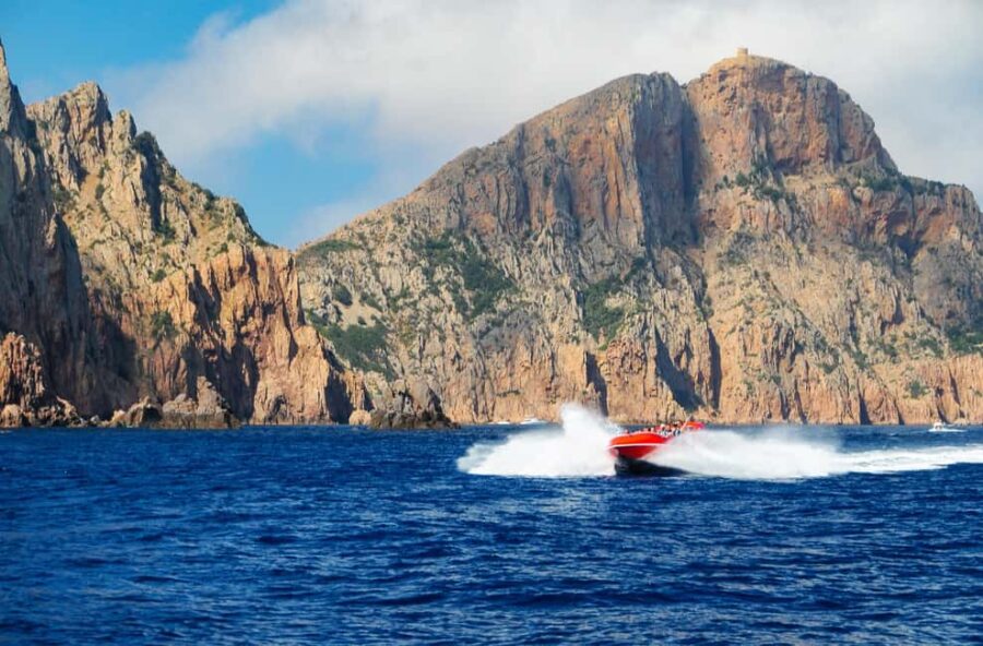 Porto: Sensational trip in the Gulf of Porto - Starting at Porto’s Quay for an Instant Adrenaline Boost