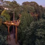 Porto: Serralves Park Entry Ticket - Exploring Serralves Parks Various Green Spaces