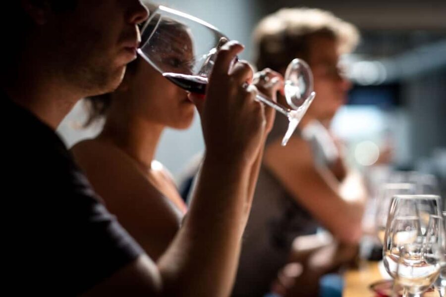 Porto: Single Varieties Tour & Tasting - Poente by Vallado - Tasting Six Indigenous Douro Varieties